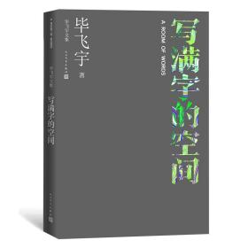 写满字的空间（毕飞宇文集）