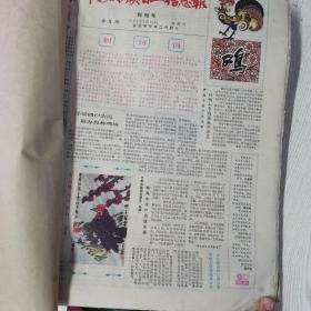 中国村镇百业信息报 创刊号（有发刊词） ，1984年