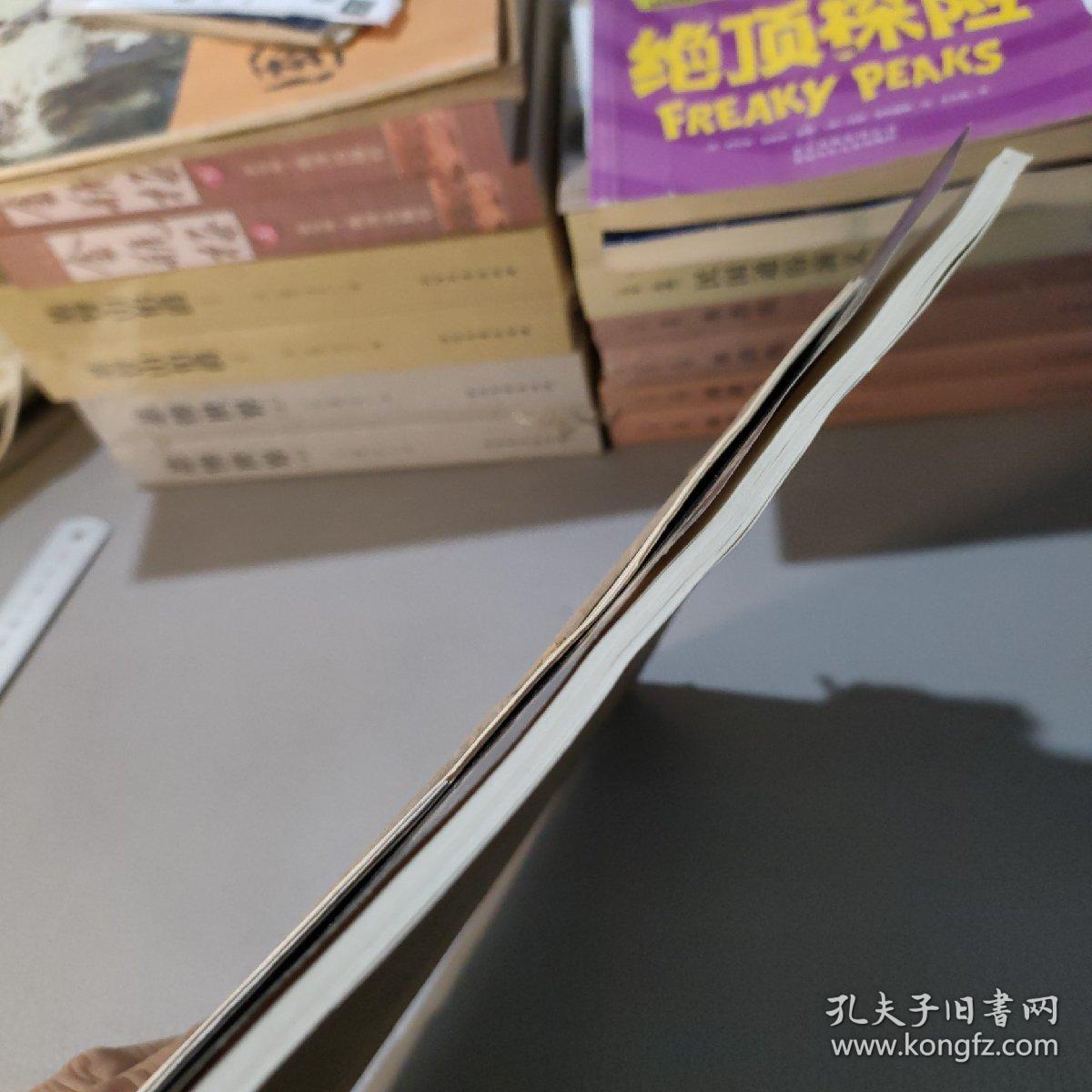 中国1:100万土壤图制图规范 试行