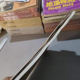 中国1:100万土壤图制图规范 试行
