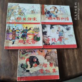 杨家将人美版5本全