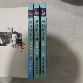 圣母在上2－4(散配)3本合售