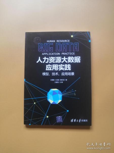 人力资源大数据应用实践：模型、技术、应用场景