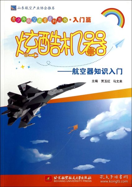 青少年航空教育系列图书·入门篇·炫酷机器：航空器知识入门