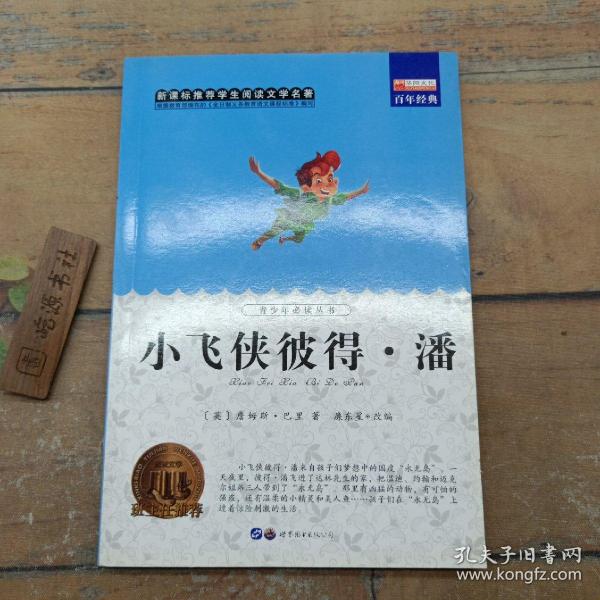 小飞侠彼得·潘 中小学课外阅读 无障碍阅读