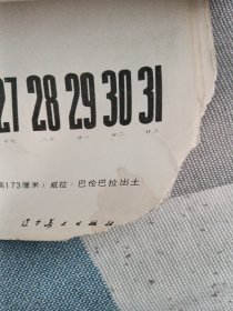 1986年雕塑挂历(13张全)