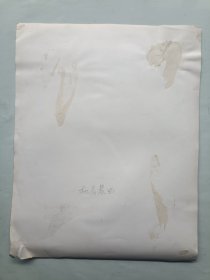 机房晨曲 老照片