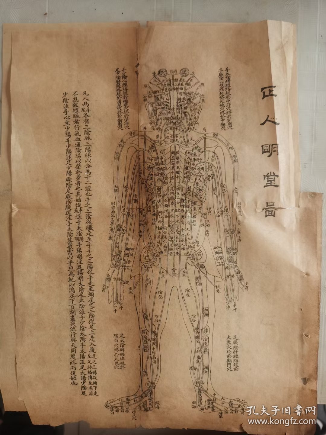 针灸图四张。