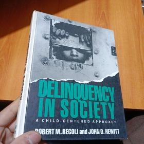 DELINQUENCY IN SOCIETY