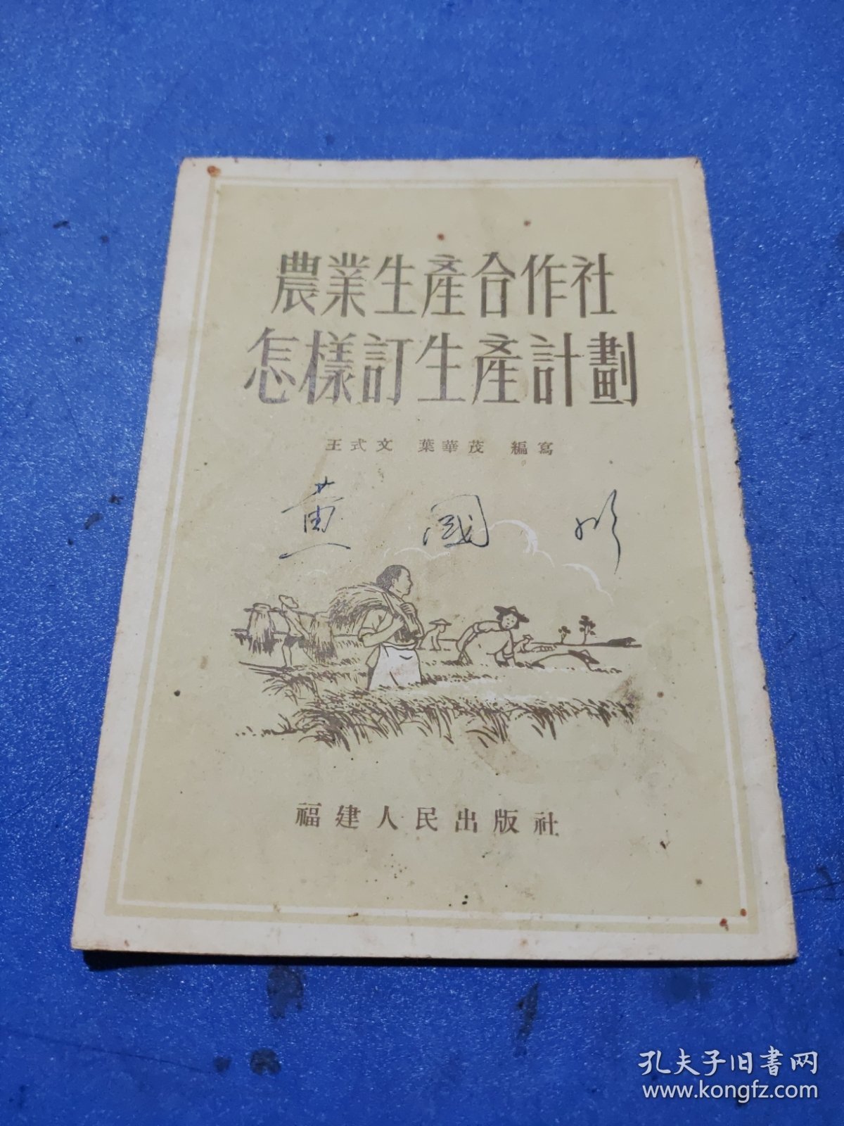 农业生产合作社怎样订生产计划