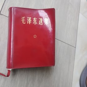 毛泽东选集