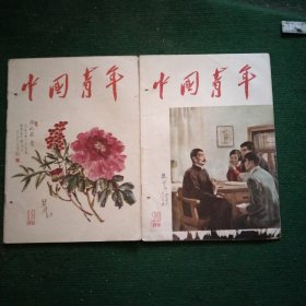 中国青年【1956/19/20】