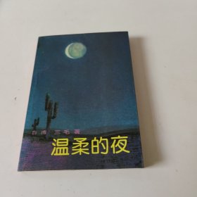 温柔的夜