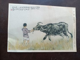 1954年小画片明信片 徐悲鸿 作牧童。8开