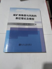 尾矿库隐患与风险的表征理论及模型