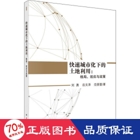 快速城市化下的土地利用：格局、效应与政策