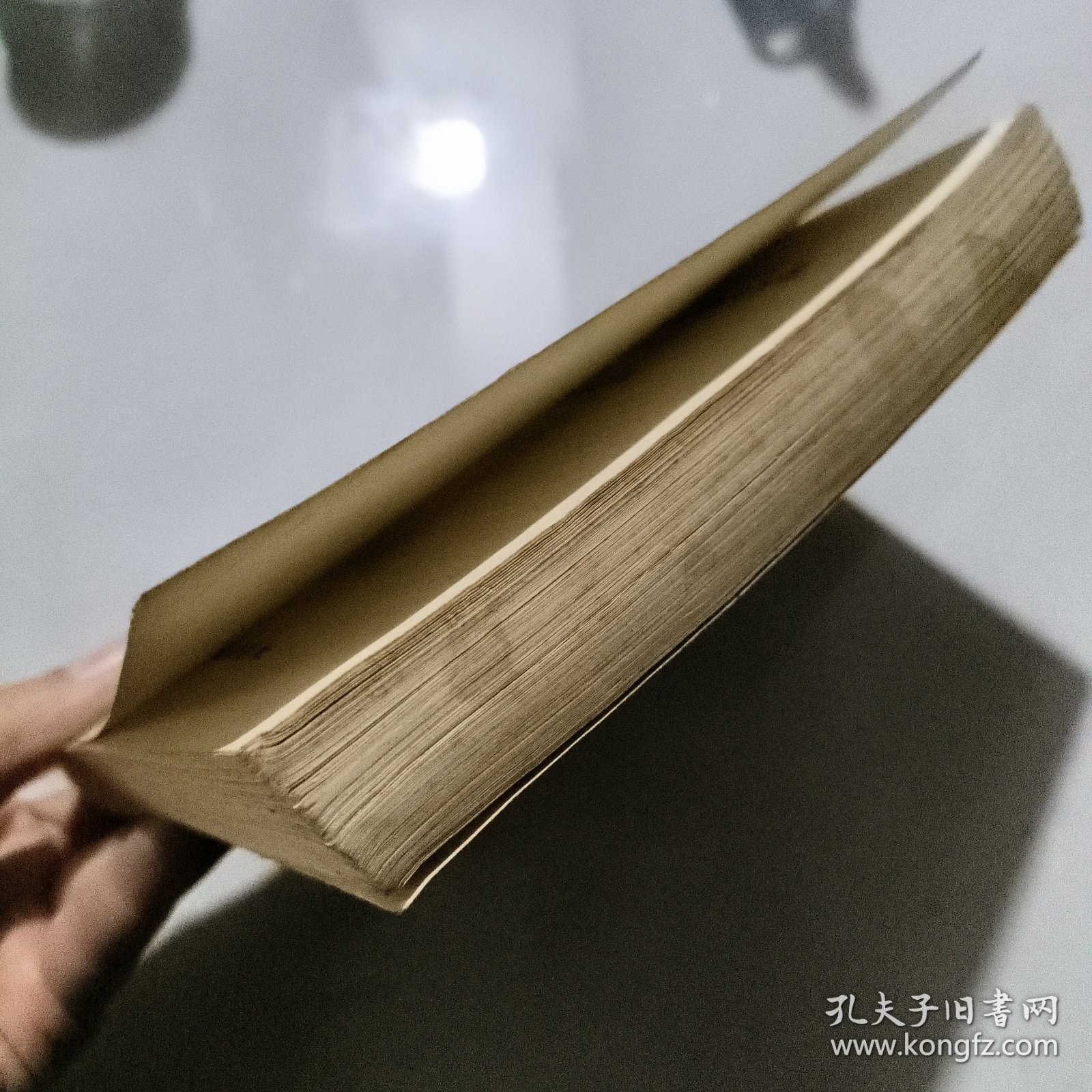 中国历代文学作品选( 上册 简编本)