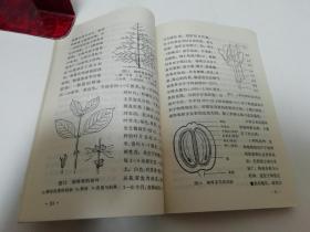 热带作物栽培‘农业生产基本知识’（彩画封面多插图，农业出版社改编，1974年初版）2022.6.2日上