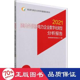 能源与电力分析年度报告系列 2021 国内外能源电力企业数字化转型分析报告