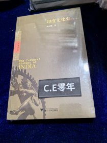 印度文化史 第3版 启真讲堂-061