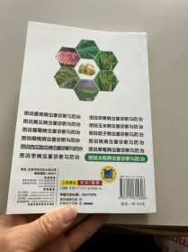 图说水稻病虫害诊断与防治 全彩版