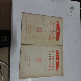 第二期整党单位学习文件资料选编+第二期第二批整党单位学习文件资料选编