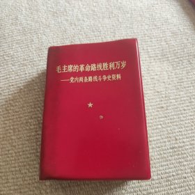 毛主席的革命路线胜利万岁