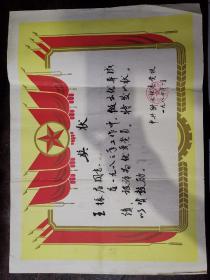 奖状：优秀党员 衡水地委党校