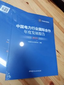 中国电力行业国际合作年度发展报告2023