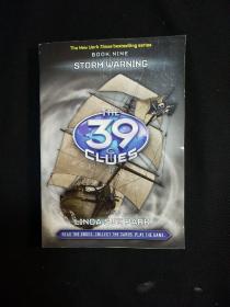 THE 39 CLUES STORM WARNING