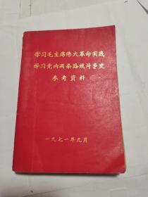 学习毛主席伟大革命实践学习党内两条路线斗争史参考资料