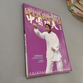 中国功夫第二卷第二期