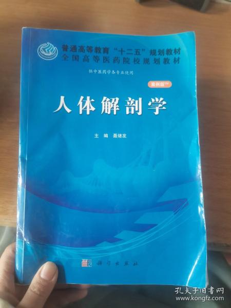 人体解剖学（案例版）/普通高等教育“十二五”规划教材·全国高等医药院校规划教材