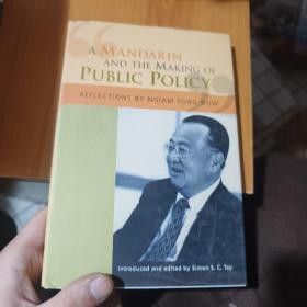 a mandarin and the making of public policy