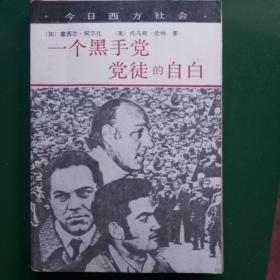 一个黑手党党徒自白