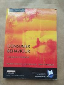 CONSUMER BEHAVIOUR A EUROPEAN PERSPECTIVE 欧洲消费者行为