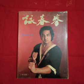 咏春拳（中文版·精装·上册）