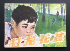 双龙花盆