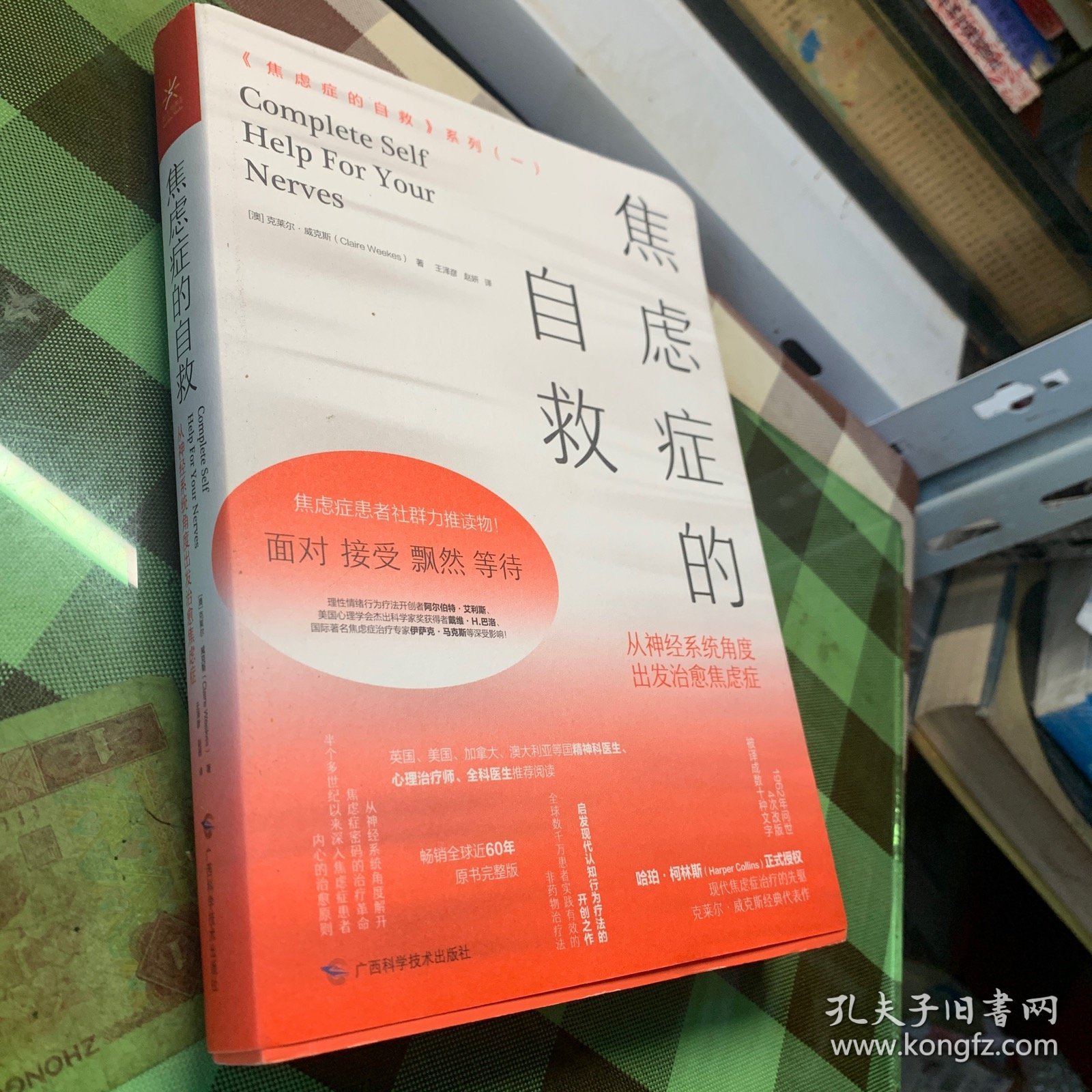 焦虑症的自救1从神经系统角度出发治愈焦虑症