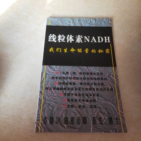 线粒体素NADH 我们生命能量的秘密