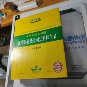 2019中华人民共和国民事诉讼法及司法解释全书（含指导案例）