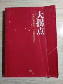 大拐点：世界经济裂变，中国路在何方？