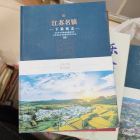 江苏名镇 下蜀镇志