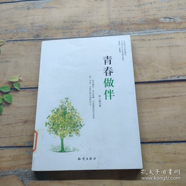 中国新实力作家精选-青春做伴