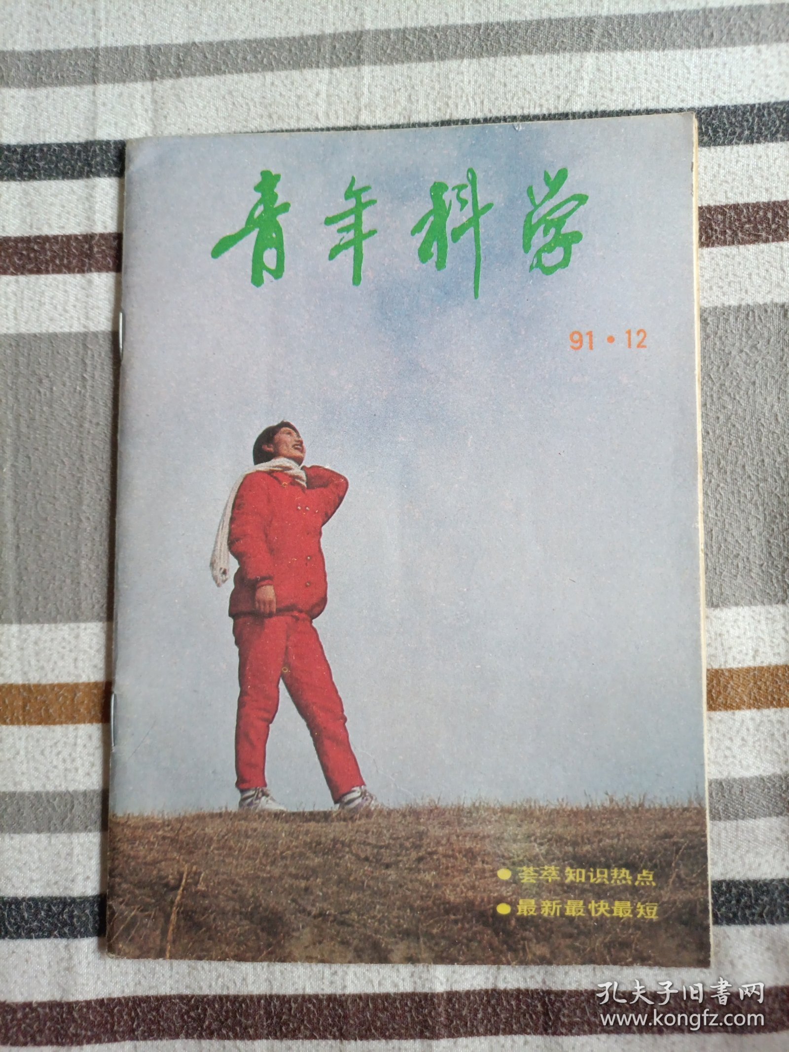 青年科学（1991年第12期）