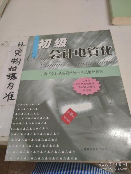 初级会计电算化：上海市会计从业资格统一考试辅导教材