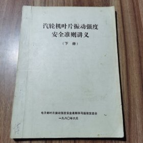 汽轮机叶片振动强度安全准则讲义 下册