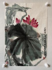 吴同椿  花卉软片