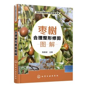 果树合理整形修剪图解系列--枣树合理整形修剪图解