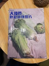 大揽胜-色彩静物照片